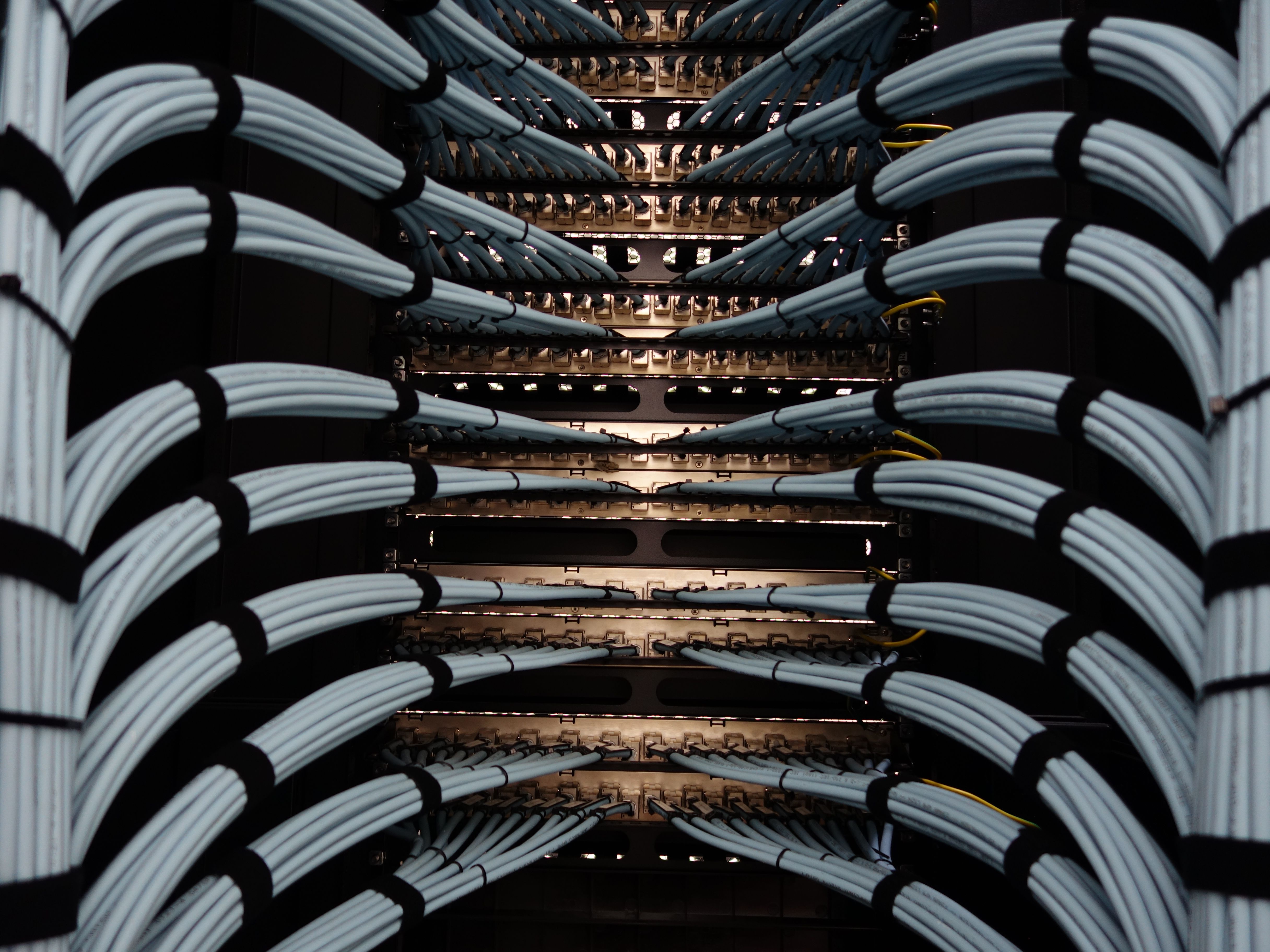 AI/ML-led managed services backed by cloud-hosted tools